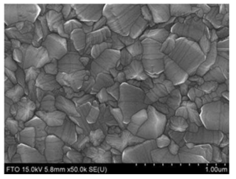 FE-SEM image of surface of FTO glass before coating metal NPs.