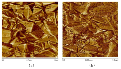 AFM images of surface of bare FTO glass and Pt-coated FTO glass.