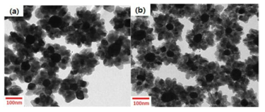 TEM image of Au/TiO2 core-shell NPs.