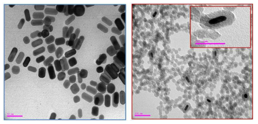 TEM images of (a) Au nano-rod and (b) Aurod/SiO2 core-shell nanoparticles.