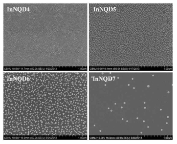 성장온도에 따른 InN 양자점 시료의 SEM 이미지