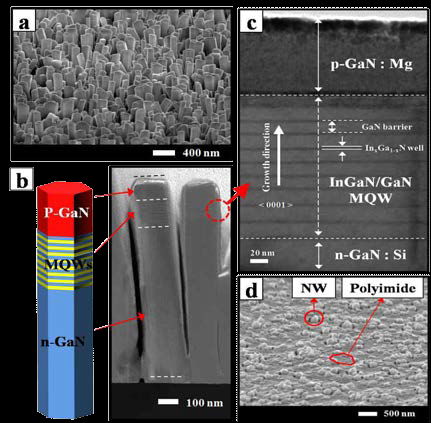 (a) uniaxial 나노와이어 FE-SEM image, (b),(c) 나노와이어 HR-TEM image, (d) 스핀코팅후 나노와이어 FE-SEM image.