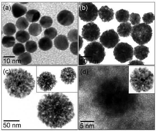 TEM images of Au NPs (a), Au@Cu2O core–shell NPs (b and c) and HRTEM of the selected area of single Au@Cu2O core–shell. NPs (d).