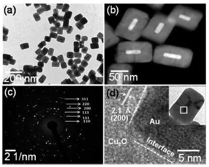 Au@Cu2O core−shell NPs