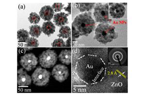 TEM image(a,b)