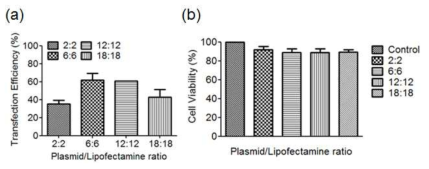 리포펙타민과 플라스미드의 비율 및 유전자 전달 효율