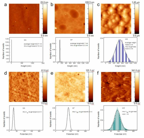 GA(a), NF(b) 그리고 NR(c) 샘플의 5×5 μm2 영역의 표면 구조(AFM 사진)와 GA(d), NF(e) 그리고 NR(f) 샘플의 표면 접촉 포텐셜( V cp) 사진(KPFM 사진). 지형 높이와 표면 접촉 포텐셜의 통계적 분포도 나타냄.