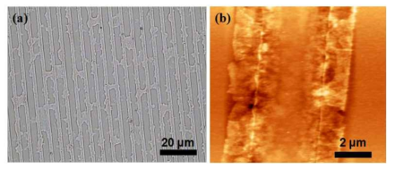 (a) 그래핀 코팅 후 광학현미경으로 관측한 이미지, (b) 그래핀 코팅 후 AFM으로 관측한 이미지.