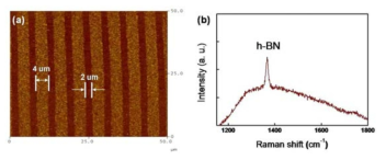 (a) 사파이어 기판 위의 BN 패턴을 AFM으로 관측한 이미지, (b) BN 패턴의 Raman 데이터.