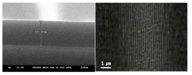 Spin coating 된 photoresist 의 단면 주사전자현미경 이미지 및 LHL에 적용하여 얻은 stripe 패턴