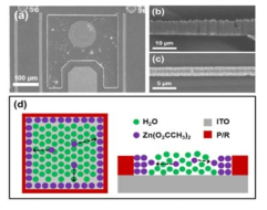 LED 위에 성장된 ZnO micro-wall의 SEM image 및 micro-wall 형성 원리를 제안한 chemical physics model