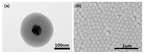 (a) Ag- Silica core-shell 형성 후, core-shell 형성을 관측한 투과전자현미경 (TEM, Transmission Electron Micoscopy) 사진, (b) Ag-Silica core-shell 형성 후 기판에 배열한 후 관측한 SEM 사진