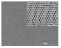도포된 nanosphere의 주사전자현미경 이미지