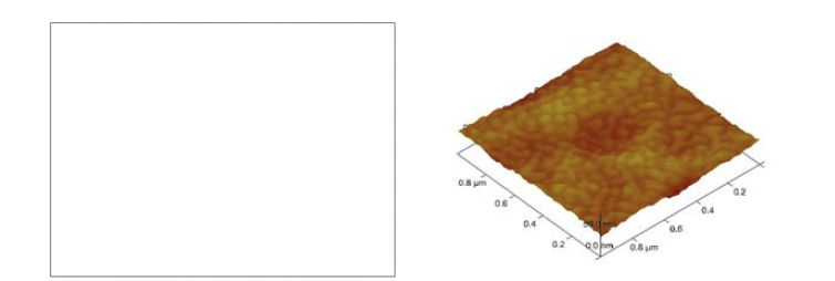 Cl2/Ar gas ratio에 따른 Ga/N면 GaN의 dry etching 특성(좌) 및 식각 후 AFM image (우)