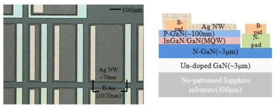 Ag 나노와이어를 투명전극으로 활용하여 제작한 LED칩 OM 이미지(좌)와 도식도(우)