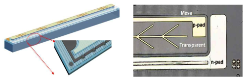 (좌) 제안된 구조의 도식화, (우) 제작된 EE LED의 광학 이미지