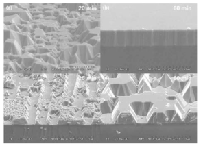 pattern된 graphene oxide 기판에 성장된 시간별 GaN 성장 SEM image