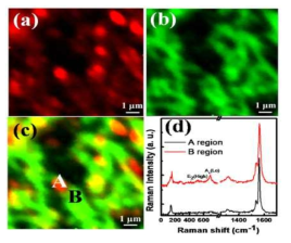 (a)탄소 나노튜브의 radial breathing mode (b)GaN의 A1(LO) mode (c)그림 (a),(b)의 조합된 raman mapping 이미지 (e) A,B의 raman spectra