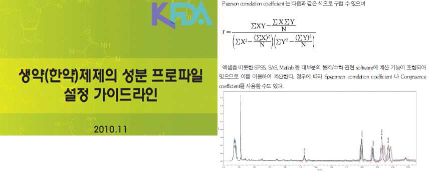 Chemical equivalence 보증을 위한 국내 가이드라인