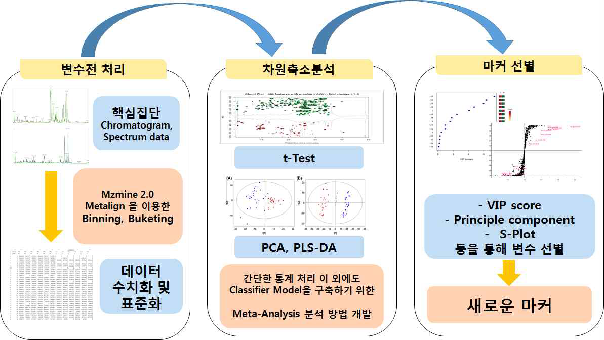 대사체학 기반 판별분석법 진행 체계도