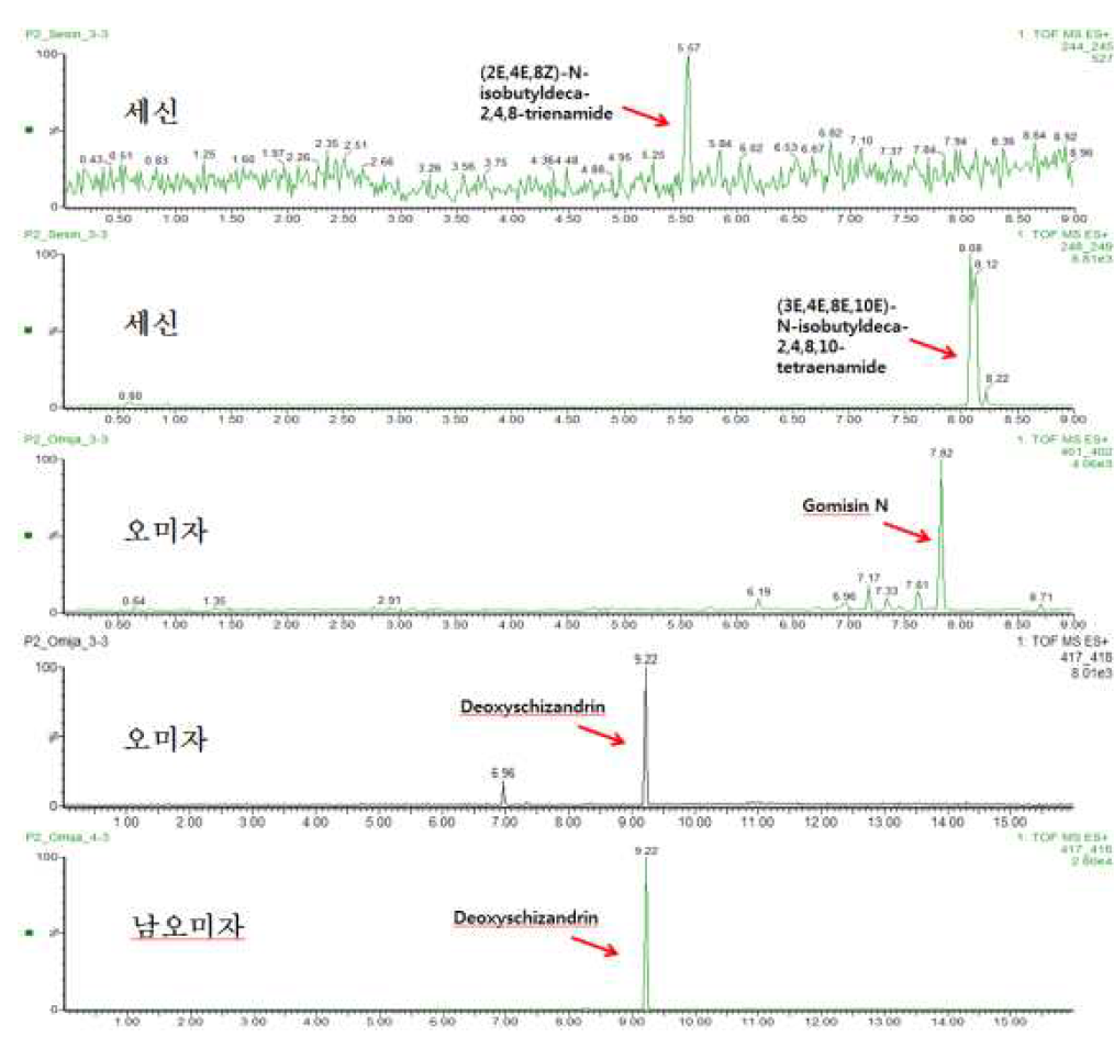 세신과 오미자에서 확인한 유효성분 크로마토그램 (XIC)