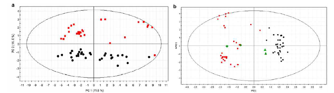 PCA result (왼쪽), OPLS-DA result (오른쪽)