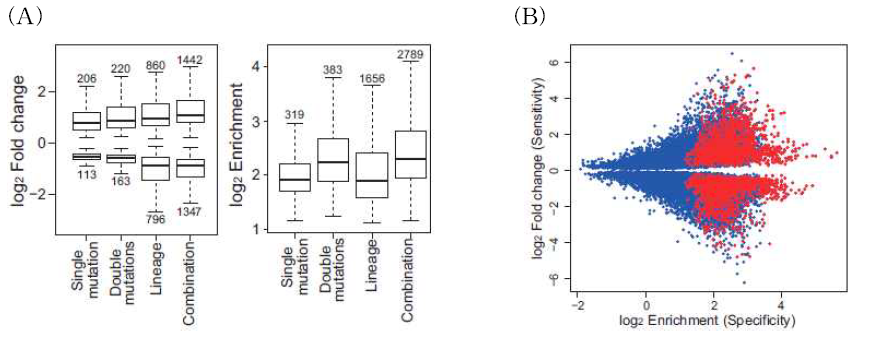 Lineage- and genotype-specific gene expression.