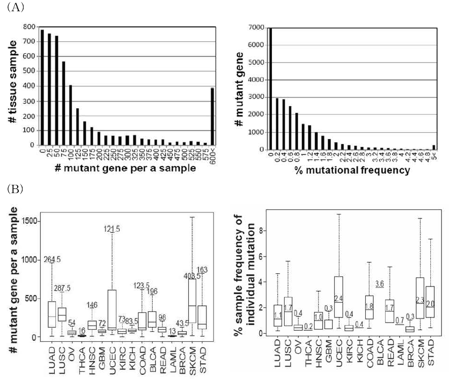 Overall mutational frequency in tissue samples