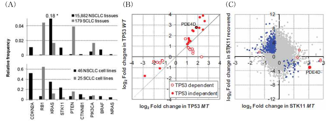 STK11 mutation-specific gene expression in lung cancer.