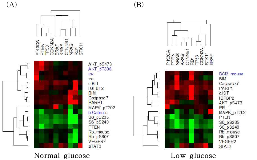 Mutation-associated protein expression and phosphorylation marker.