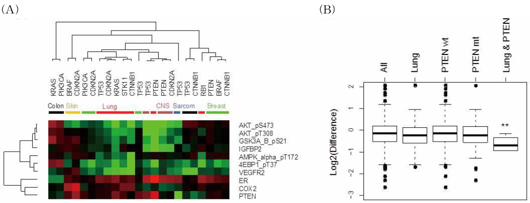 Genotype-dependent protein markers for regulation of glucose metabolism.