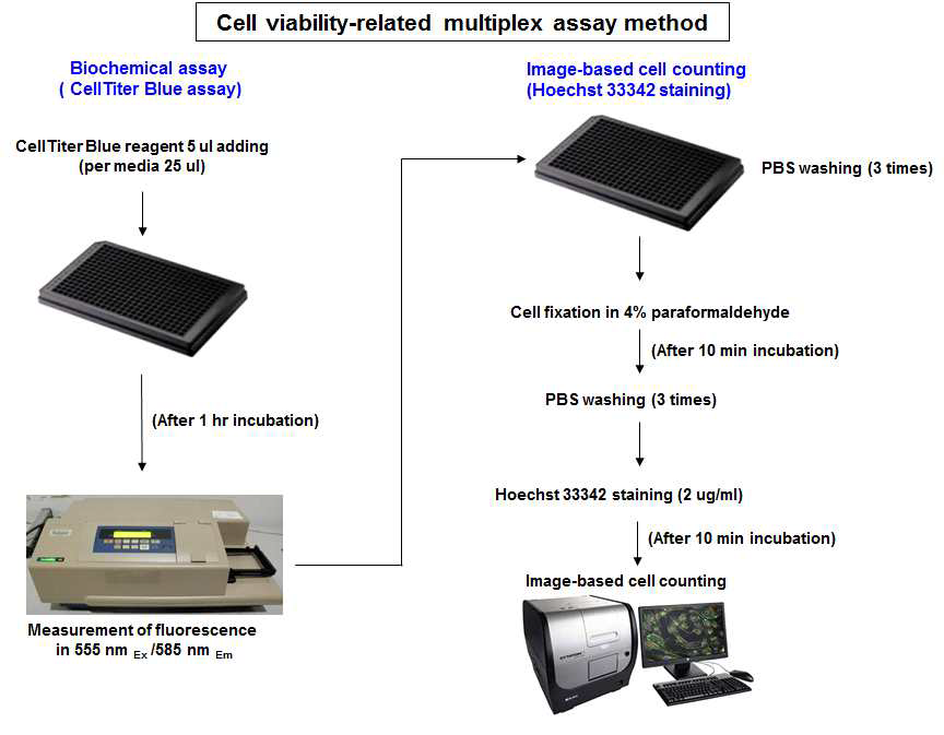 선정된 2종의 cell viability assay의 multiplex assay 방법