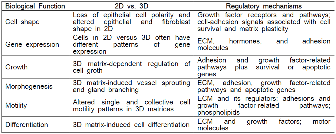 2D와 3D 세포배양의 차이