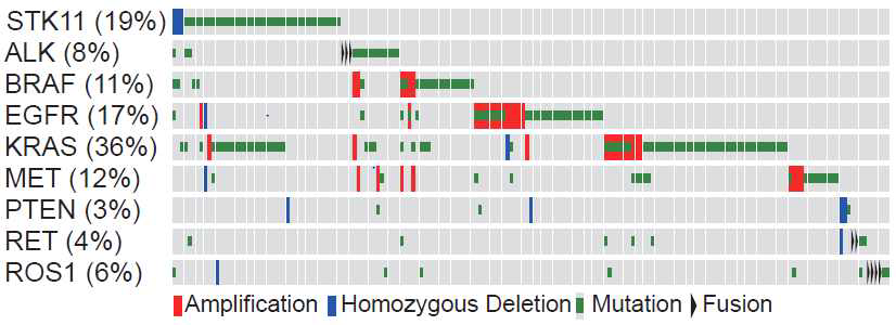 Lung adenocarcinoma에서의 유전적 변이 양상.