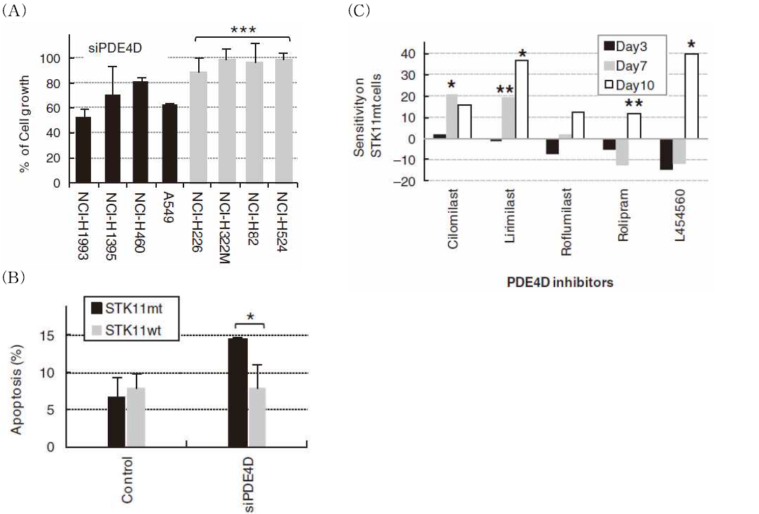 STK11-dependent cell growth regulation by PDE4D inhibition