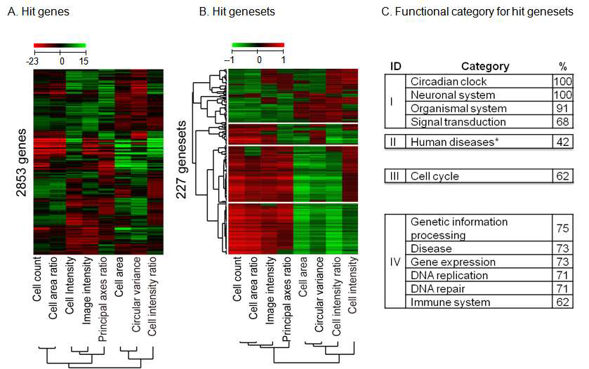 Clustered heatmap for hit genes and hit genesets.