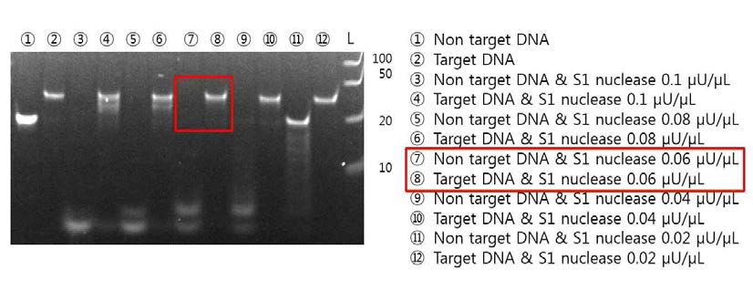 DNA 바코드 기반 표적발굴을 위한 제한효소 안정화 조건