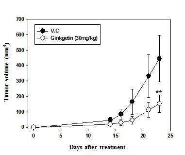 Ginkgetin의 동물에서의 항암활성
