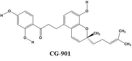 빵나무에서 유래한 STAT3 저해제 CG-901