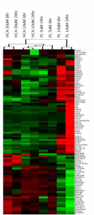 HCA PL에 의한 유 전체 발현 분석