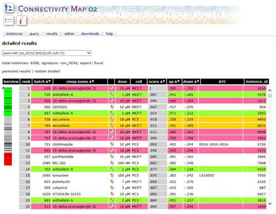 Connectivity map을 분석결과