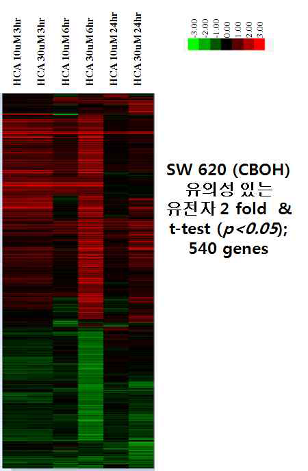 계피유래 물질 CBOH에 의한 SW620세포의 발현패턴 분석