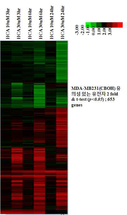 HCA처리에 의한 MDA-MB231 세포의 유전자 발현 패턴 분석