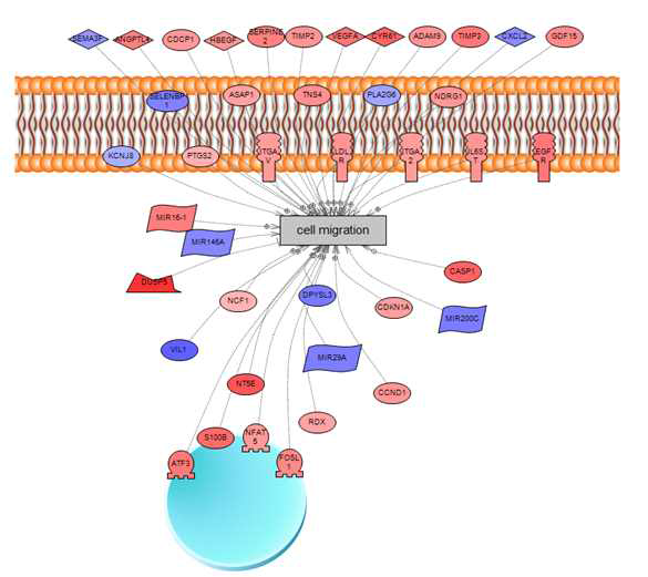 암 세포 이동 관련 유전자들의 네트워크 분석