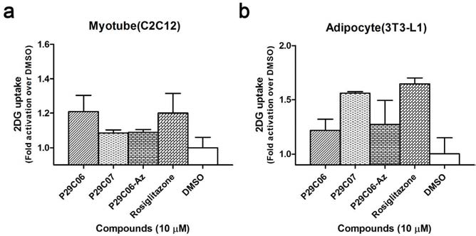 초기 유효화합물과 (P29C06, P29C07) 표적규명 프로브에 의한 세포 내 2-DG 흡수량 변화