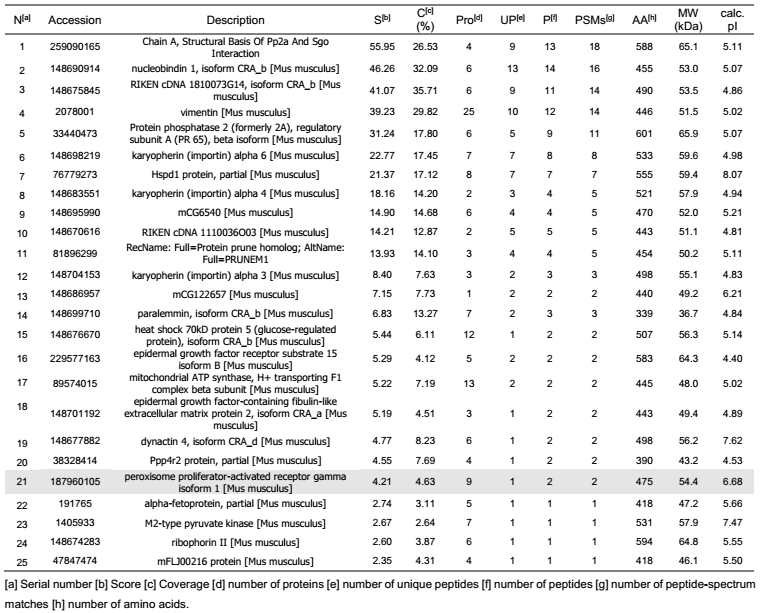 FITGE 실험의 2D-gel에서 mass analysis를 통해 얻어진 protein list