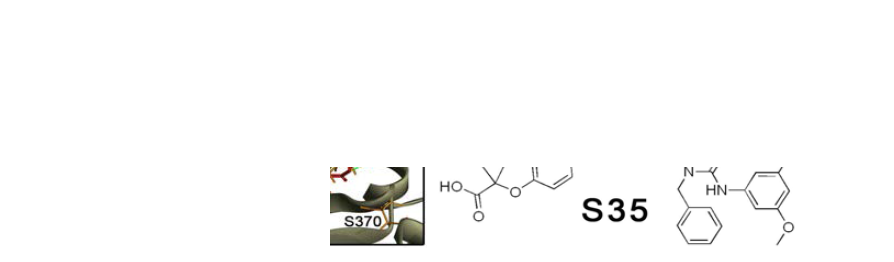 Docking simulation에 기초한 구조적 확장을 통하 여 새롭게 얻어진 선도물질 R35 및 S35