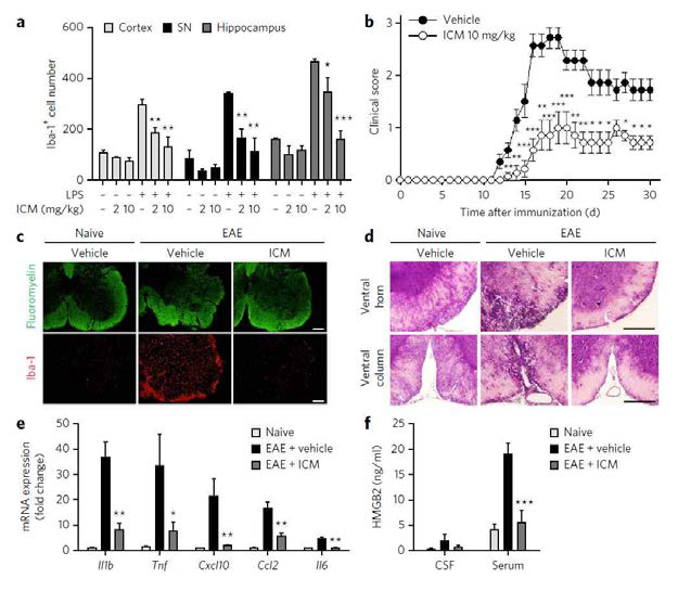 ICM의 in vivo 활성 검증 및 immunohistochemistry를 통한 연구