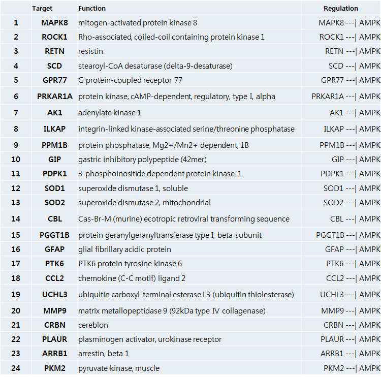 AMPK의 활성을 억제하는 상위단계 단백질 목록