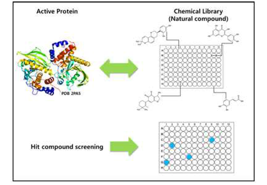 표적단백질의 활성 검색 방법 및 활성 검색결과